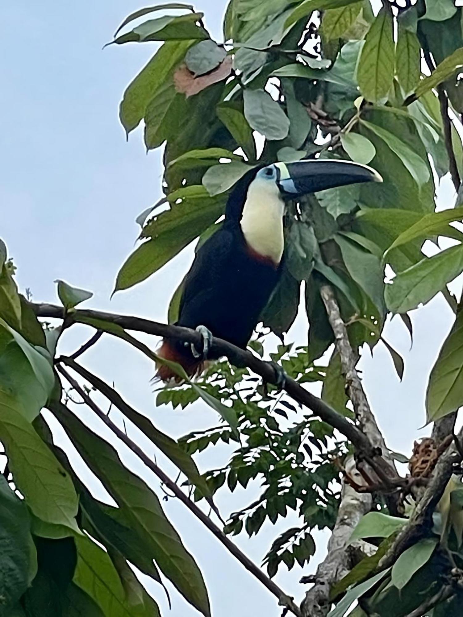 Puerto Nariño Maiku Amazonas酒店 外观 照片