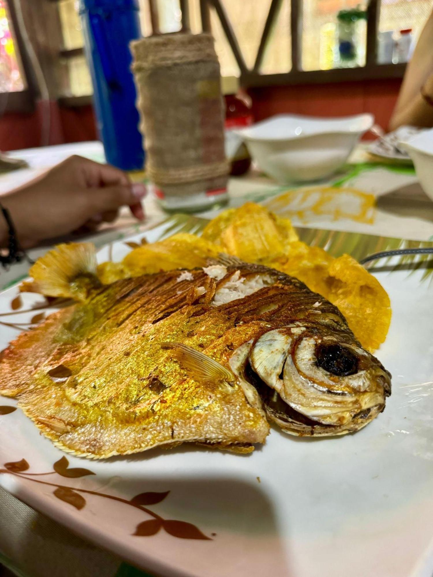 Puerto Nariño Maiku Amazonas酒店 外观 照片